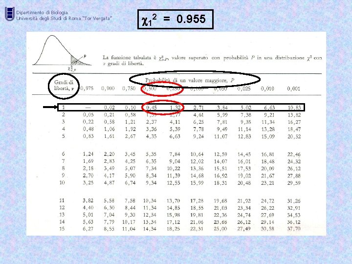 U Dipartimento di Biologia Università degli Studi di Roma “Tor Vergata” 12 = 0.