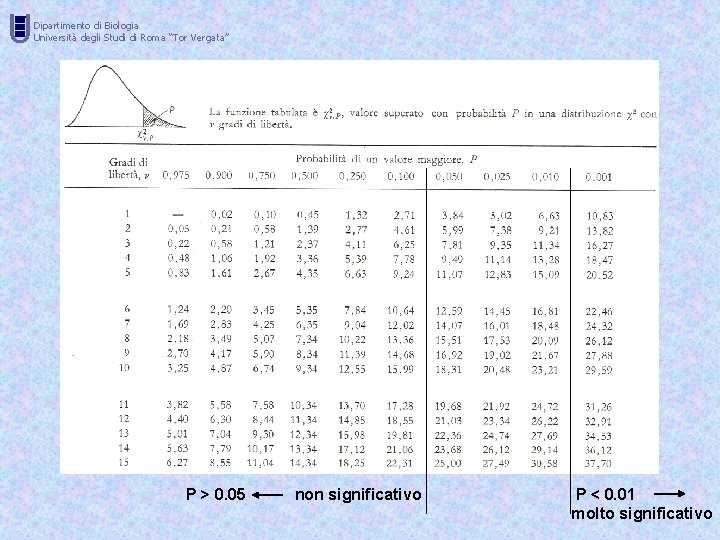 U Dipartimento di Biologia Università degli Studi di Roma “Tor Vergata” P > 0.