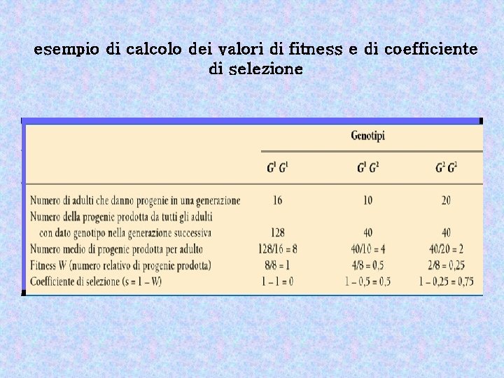 esempio di calcolo dei valori di fitness e di coefficiente di selezione 