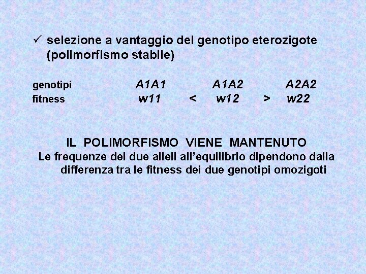 ü selezione a vantaggio del genotipo eterozigote (polimorfismo stabile) genotipi fitness A 1 A