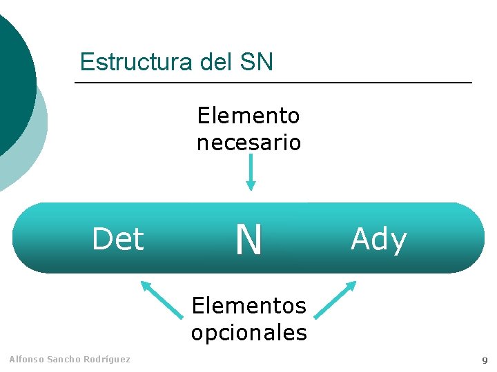 Estructura del SN Elemento necesario Det N Ady Elementos opcionales Alfonso Sancho Rodríguez 9
