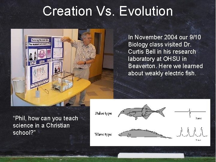 Creation Vs. Evolution In November 2004 our 9/10 Biology class visited Dr. Curtis Bell Creation Vs. Evolution In November 2004 our 9/10 Biology class visited Dr. Curtis Bell