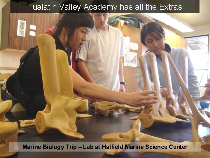 Tualatin Valley Academy has all the Extras Marine Biology Trip – Lab at Hatfield