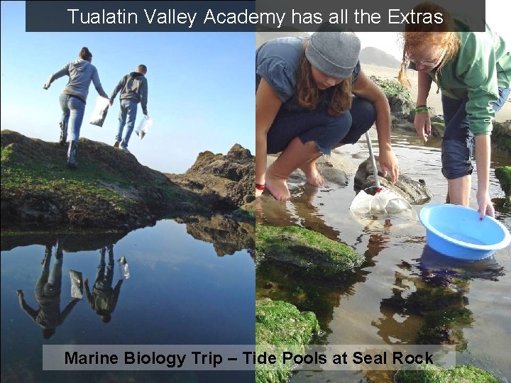 Tualatin Valley Academy has all the Extras Marine Biology Trip – Tide Pools at Tualatin Valley Academy has all the Extras Marine Biology Trip – Tide Pools at