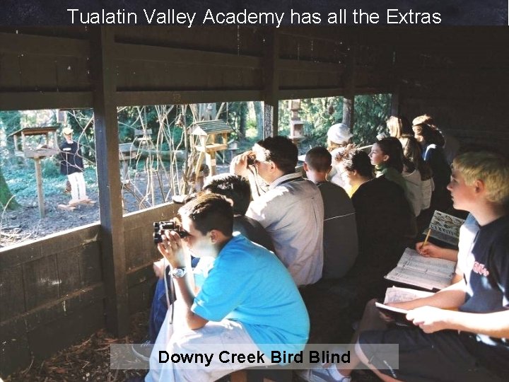Tualatin Valley Academy has all the Extras Downy Creek Bird Blind Tualatin Valley Academy has all the Extras Downy Creek Bird Blind