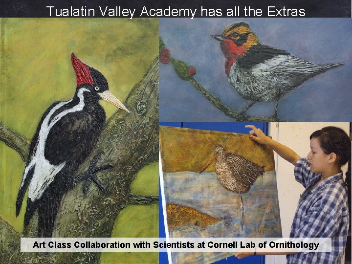 Tualatin Valley Academy has all the Extras Art Class Collaboration with Scientists at Cornell