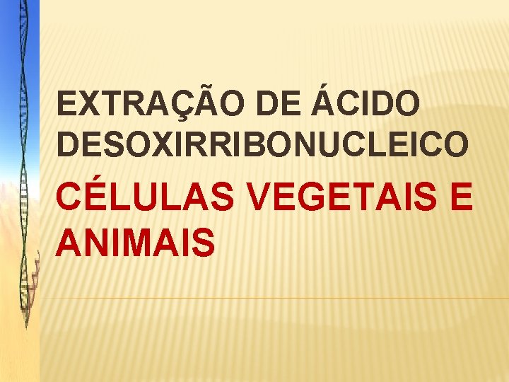 EXTRAÇÃO DE ÁCIDO DESOXIRRIBONUCLEICO CÉLULAS VEGETAIS E ANIMAIS 