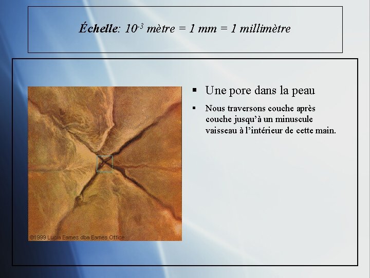 Échelle: 10 -3 mètre = 1 mm = 1 millimètre § Une pore dans