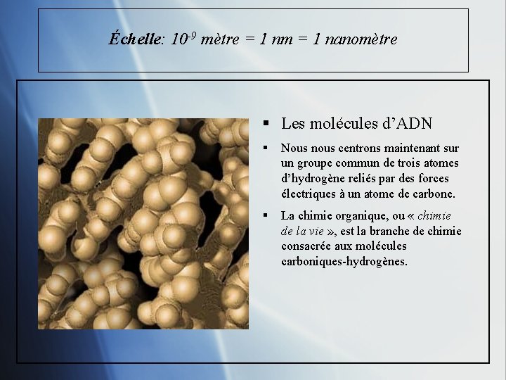 Échelle: 10 -9 mètre = 1 nm = 1 nanomètre § Les molécules d’ADN