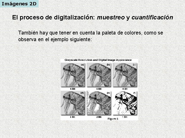 Imágenes 2 D El proceso de digitalización: muestreo y cuantificación También hay que tener Imágenes 2 D El proceso de digitalización: muestreo y cuantificación También hay que tener