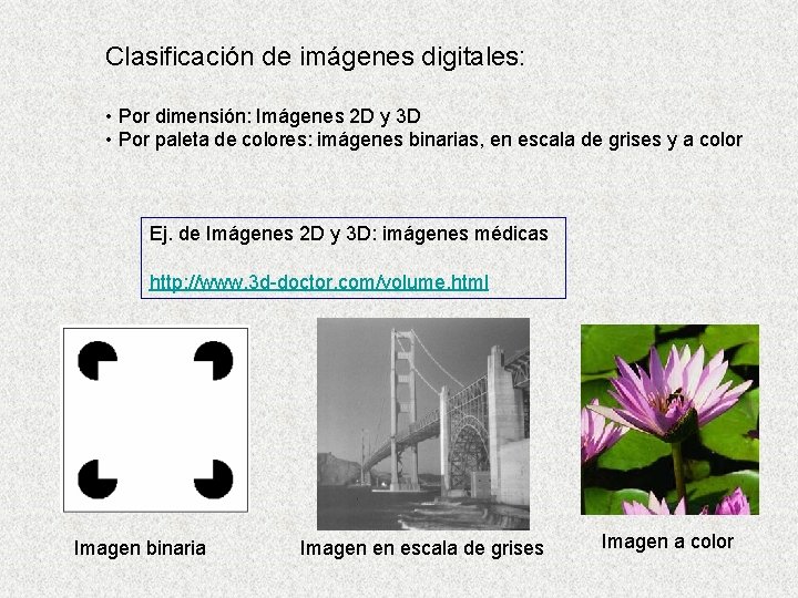 Clasificación de imágenes digitales: • Por dimensión: Imágenes 2 D y 3 D • Clasificación de imágenes digitales: • Por dimensión: Imágenes 2 D y 3 D •