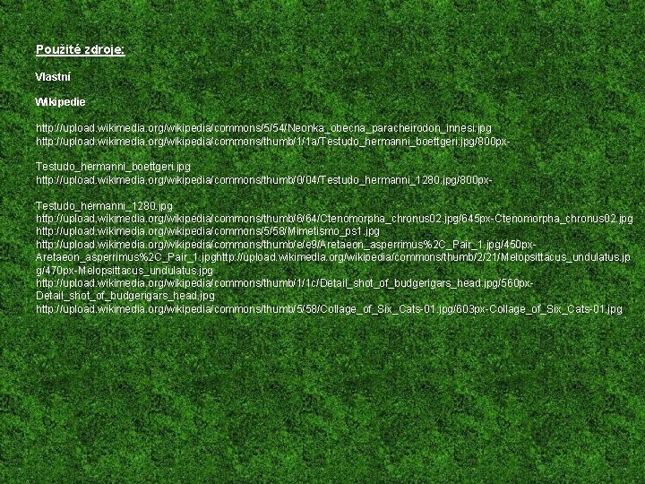 Použité zdroje: Vlastní Wikipedie http: //upload. wikimedia. org/wikipedia/commons/5/54/Neonka_obecna_paracheirodon_innesi. jpg http: //upload. wikimedia. org/wikipedia/commons/thumb/1/1 a/Testudo_hermanni_boettgeri.