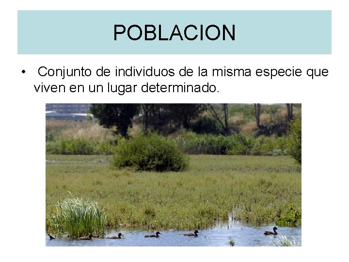 POBLACION • Conjunto de individuos de la misma especie que viven en un lugar