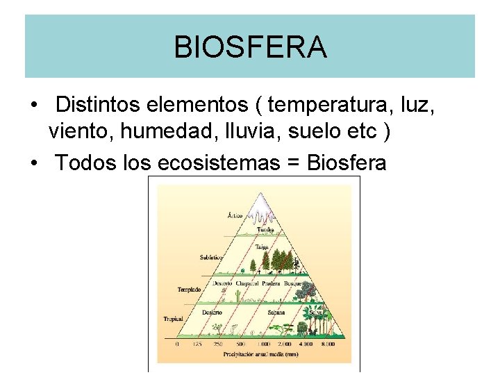 BIOSFERA • Distintos elementos ( temperatura, luz, viento, humedad, lluvia, suelo etc ) •
