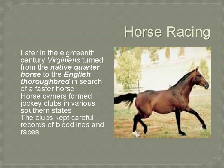 Horse Racing Later in the eighteenth century Virginians turned from the native quarter horse