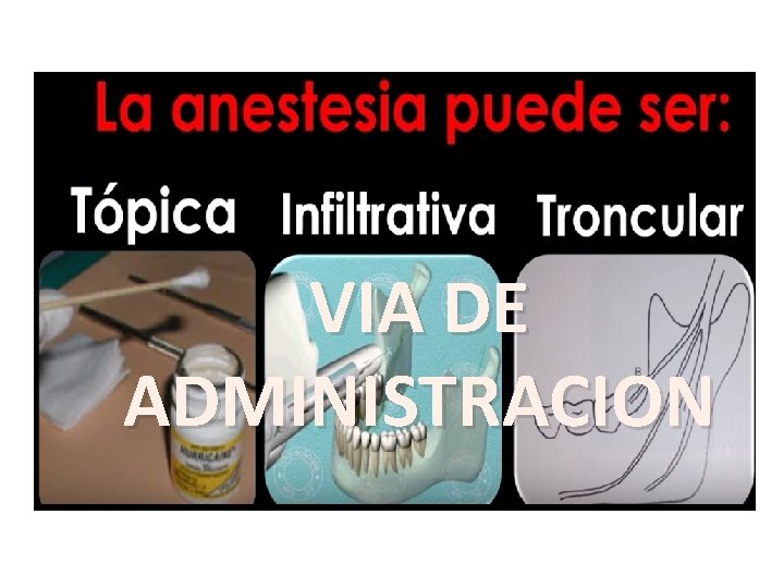 VIA DE ADMINISTRACION 