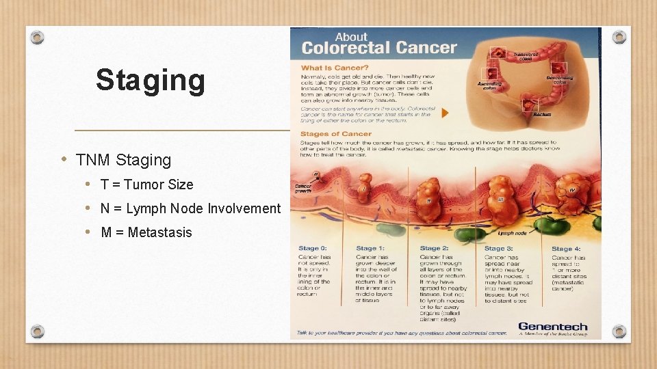 Staging • TNM Staging • T = Tumor Size • N = Lymph Node