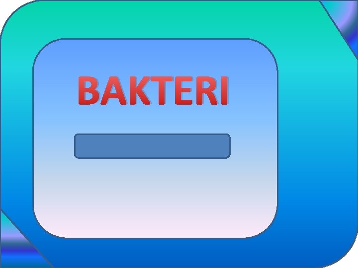 BAKTERI 