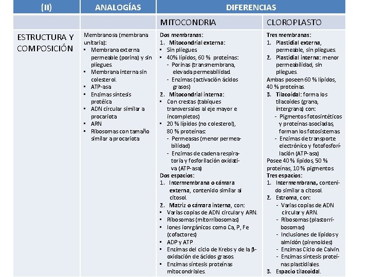 (II) ESTRUCTURA Y COMPOSICIÓN ANALOGÍAS Membranosa (membrana unitaria): • Membrana externa permeable (porina) y