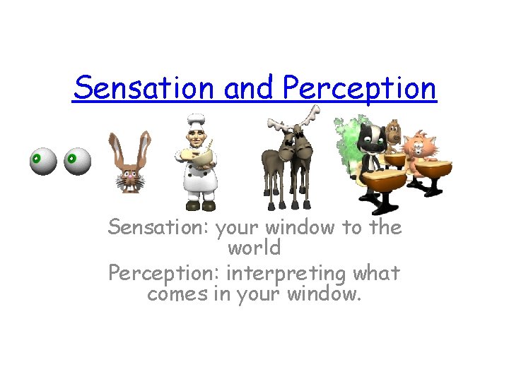 Sensation and Perception Sensation: your window to the world Perception: interpreting what comes in