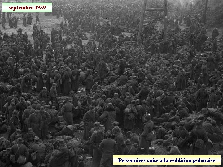 septembre 1939 Prisonniers suite à la reddition polonaise 