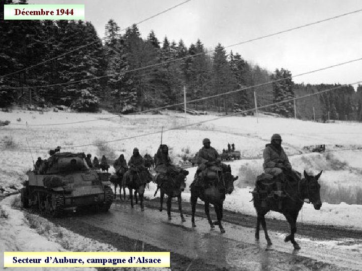 Décembre 1944 Secteur d’Aubure, campagne d’Alsace 