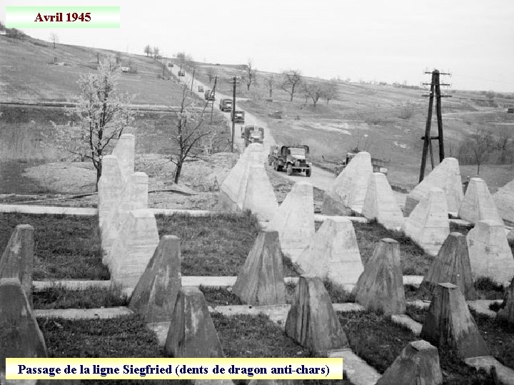 Avril 1945 Passage de la ligne Siegfried (dents de dragon anti-chars) 