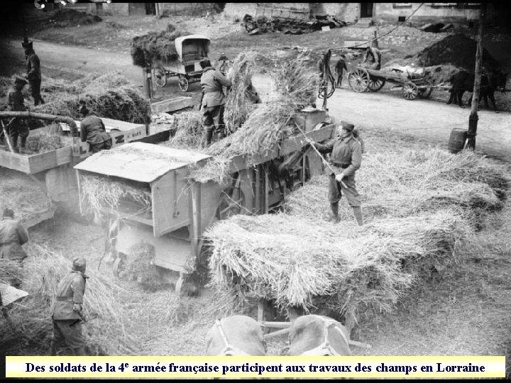 Des soldats de la 4 e armée française participent aux travaux des champs en