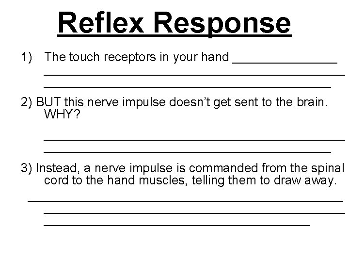 Reflex Response 1) The touch receptors in your hand _____________________________ 2) BUT this nerve