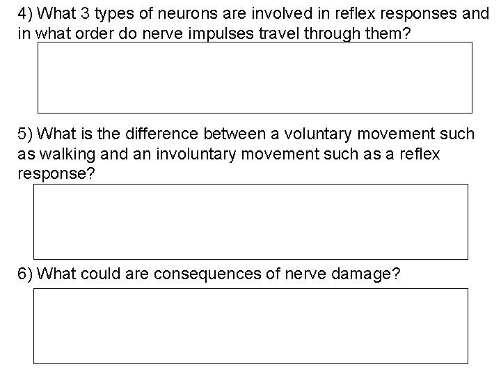 4) What 3 types of neurons are involved in reflex responses and in what