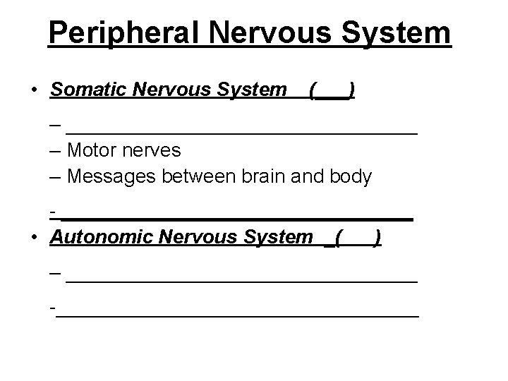 Peripheral Nervous System • Somatic Nervous System (___) – ________________ – Motor nerves –
