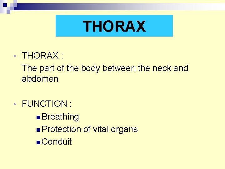 THORAX • THORAX : The part of the body between the neck and abdomen