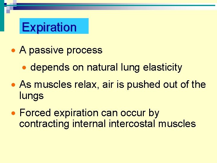 Expiration · A passive process · depends on natural lung elasticity · As muscles