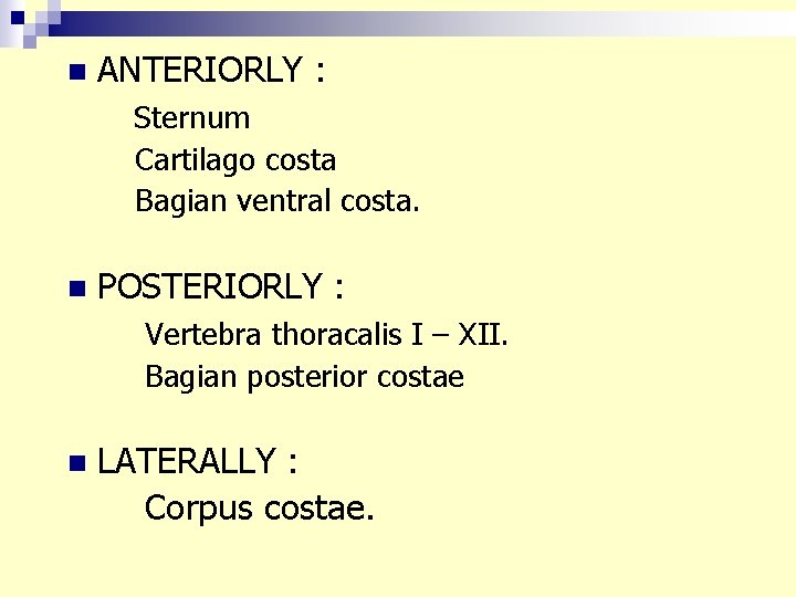 n ANTERIORLY : Sternum Cartilago costa Bagian ventral costa. n POSTERIORLY : Vertebra thoracalis n ANTERIORLY : Sternum Cartilago costa Bagian ventral costa. n POSTERIORLY : Vertebra thoracalis