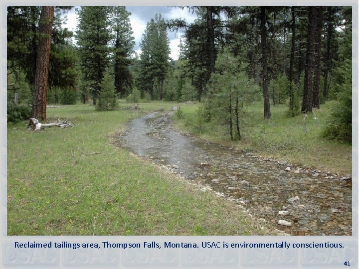 Reclaimed tailings area, Thompson Falls, Montana. USAC is environmentally conscientious. 41 