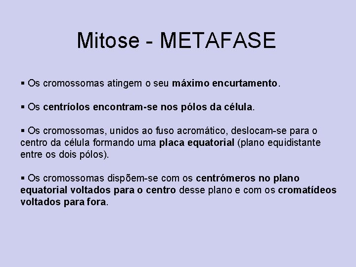 Mitose - METAFASE § Os cromossomas atingem o seu máximo encurtamento. § Os centríolos