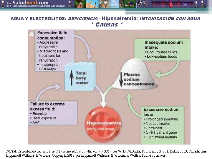 AGUA Y ELECTROLITOS: DEFICIENCIA - Hiponatremia: INTOXICACIÓN CON AGUA * Causas * NOTA. Reproducido