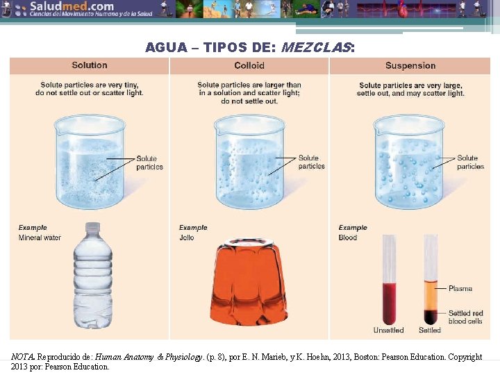 AGUA – TIPOS DE: MEZCLAS: NOTA. Reproducido de: Human Anatomy & Physiology. (p. 8),