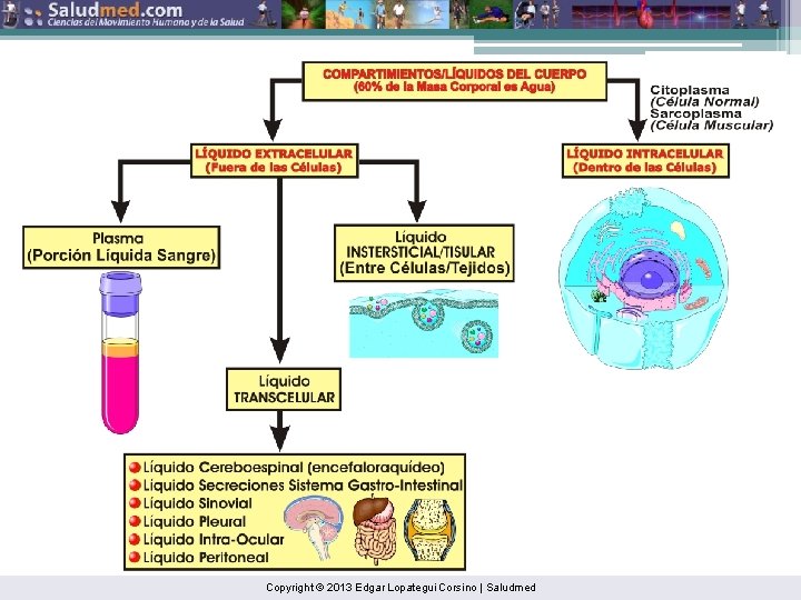 Copyright © 2013 Edgar Lopategui Corsino | Saludmed 