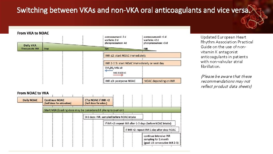 Switching between VKAs and non-VKA oral anticoagulants and vice versa. Updated European Heart Rhythm