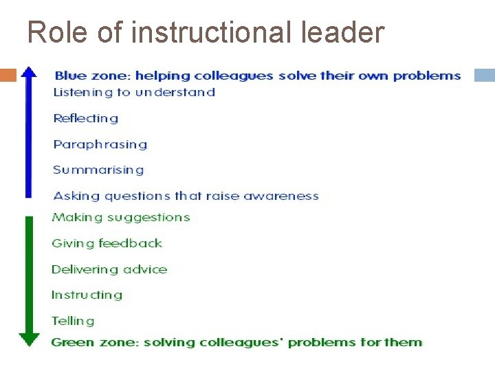 Role of instructional leader 