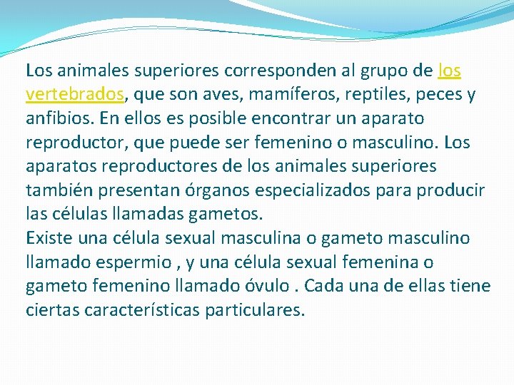 Los animales superiores corresponden al grupo de los vertebrados, que son aves, mamíferos, reptiles,