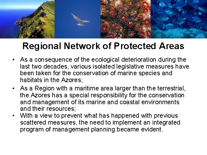 Regional Network of Protected Areas • As a consequence of the ecological deterioration during