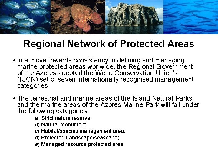 Regional Network of Protected Areas • In a move towards consistency in defining and