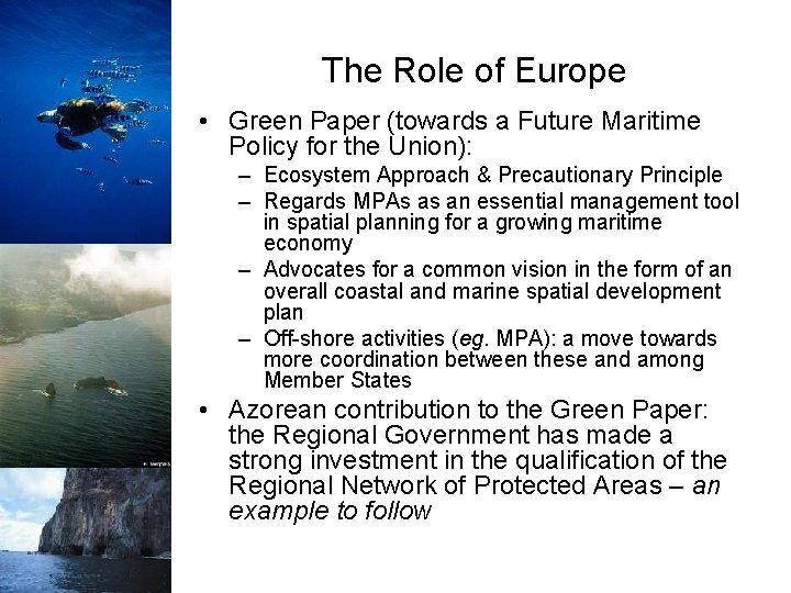 The Role of Europe • Green Paper (towards a Future Maritime Policy for the