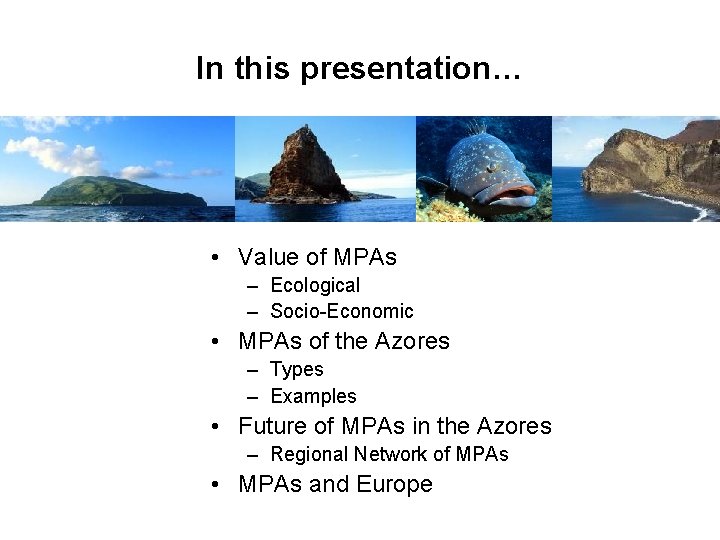 In this presentation… • Value of MPAs – Ecological – Socio-Economic • MPAs of