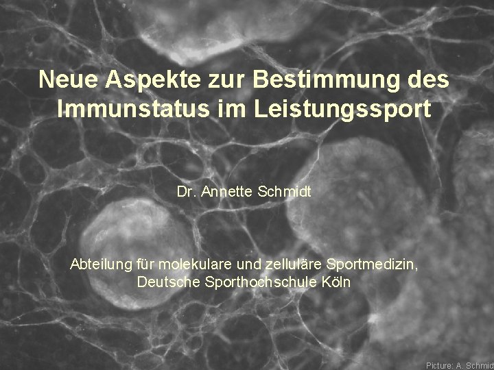Neue Aspekte zur Bestimmung des Immunstatus im Leistungssport Dr. Annette Schmidt Abteilung für molekulare