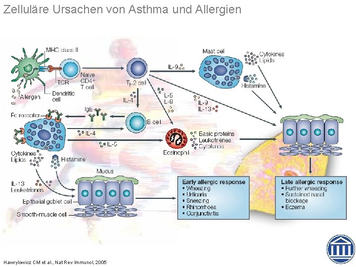 Zelluläre Ursachen von Asthma und Allergien Hawrylowicz CM et al. , Nat Rev Immunol,