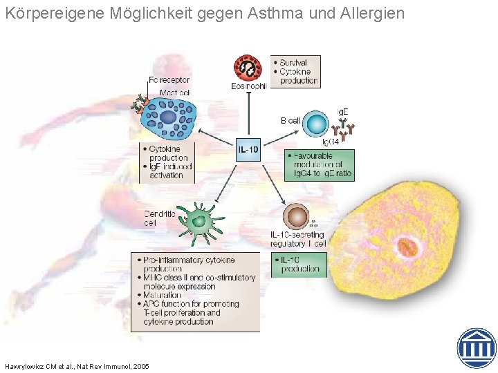 Körpereigene Möglichkeit gegen Asthma und Allergien Hawrylowicz CM et al. , Nat Rev Immunol,