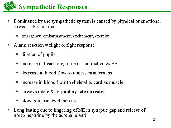 Sympathetic Responses § Dominance by the sympathetic system is caused by physical or emotional